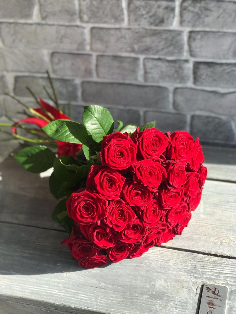 Букет Красные розы Фридом в Супонево