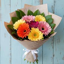 Букет цветов из:  Герберы #REPLACE_PRED# Супонево