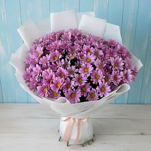 Букет цветов из:  Хризантемы в Супонево