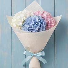 Букет цветов из:  Гортензия в Супонево