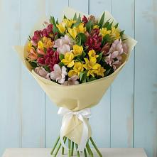 Букет цветов из:  Альстромерии в Супонево