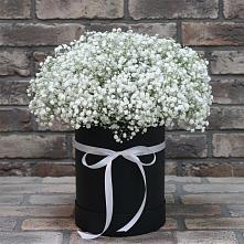 Цветочная композиция из Гипсофила в шляпной коробке #REPLACE_PRED# Супонево