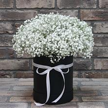 Цветочная композиция из Гипсофила в шляпной коробке в Супонево