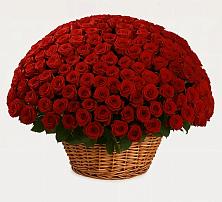 Премиум букет из: Розы в Супонево