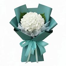 Букет цветов из:  Гортензия в Супонево